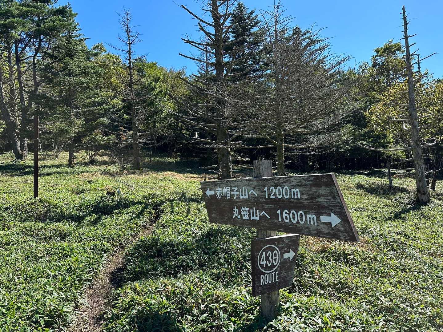 丸笹山-赤帽子山 周回コースの写真