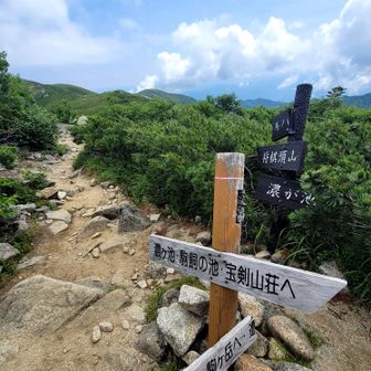 やっと分岐やァ…💦
よろヨロしてる
ここから戻るが、
又ずーっと登る〜😅‪‪