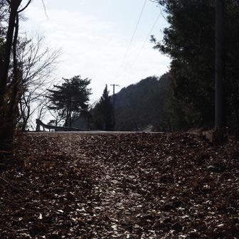 やっとここまで
稲積山直下？まで帰ってきた