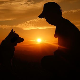 もみじ🐺 & パパ😎