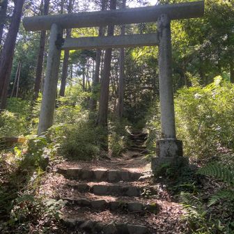 ここら辺は異様に涼しい