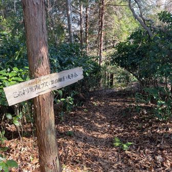 ここから奥アルプス