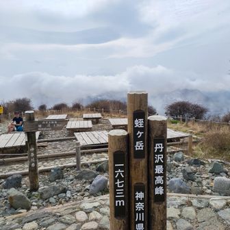 ここまでくるとガスガスでしたが、強風で時折富士が見えました。写真も目を凝らすと写っています。