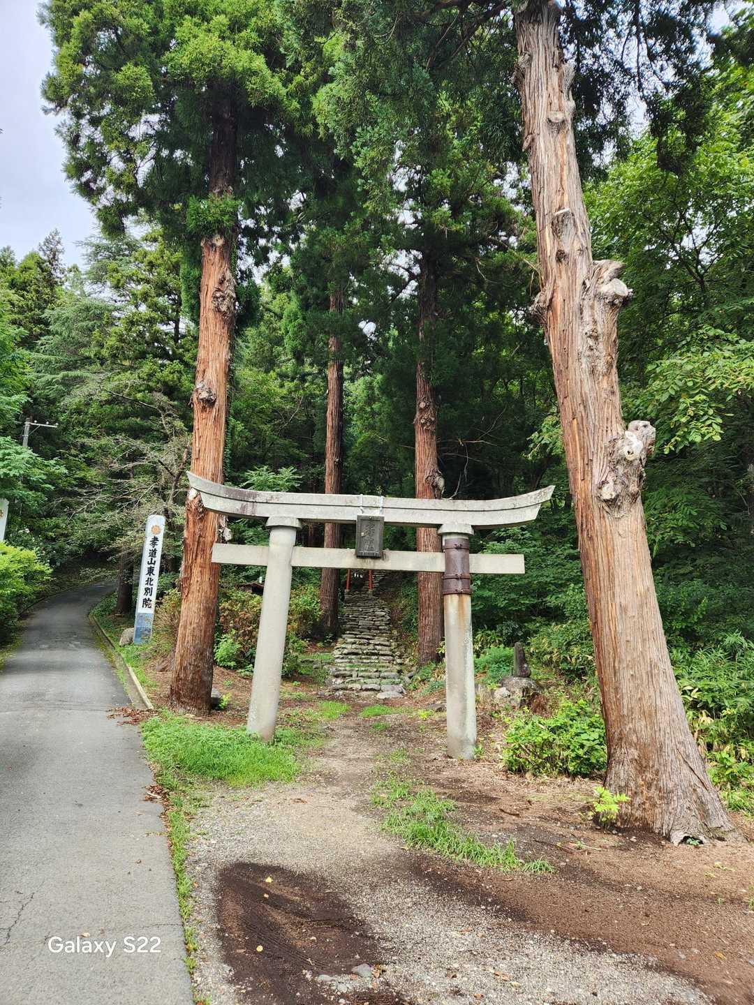 盃山 往復コースの写真
