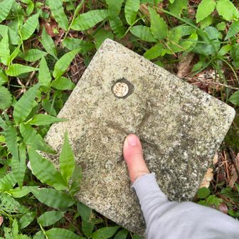 逢ケ山 登頂しました