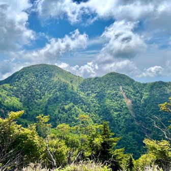 夏の空ですね
