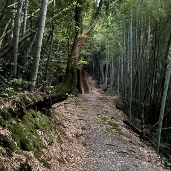 古墳の路