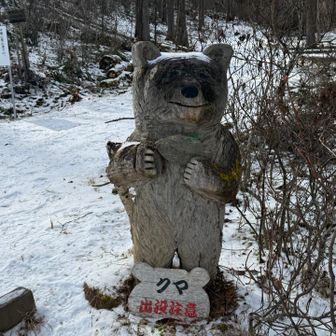 くまさん🐻