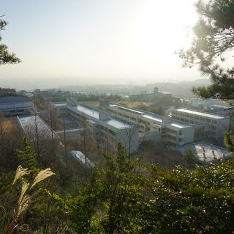 眺めの良い尾根を登る