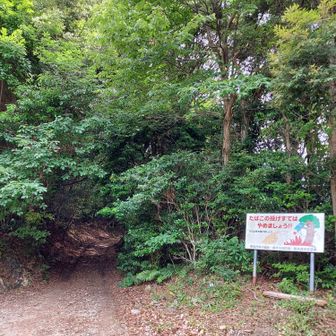 「東門寺林道」を登った先に公園への入口があるが、この先は狭くて悪路なので看板の横に駐車した。