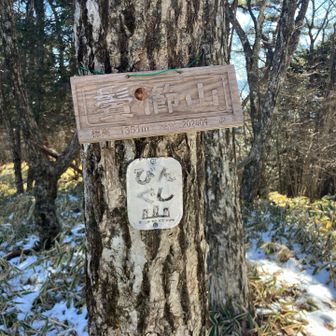 鬢櫛山山頂。ここは展望が良くないので、すぐに掃部ヶ岳に向かいます。