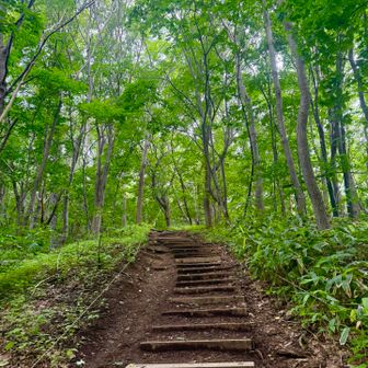 今日も三角山だよ
藻岩山はきっとずっと雲☁️の中
二の坂