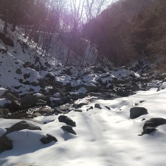 朝日、渓流、雪…美しすぎる。もう満足。帰ってもいいかなと思ってしまった…。