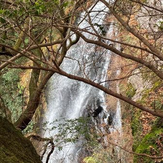 最後に滝見物に急斜面を下るがこれがスリリングで怖かった
窓の滝上部を岩場から覗く