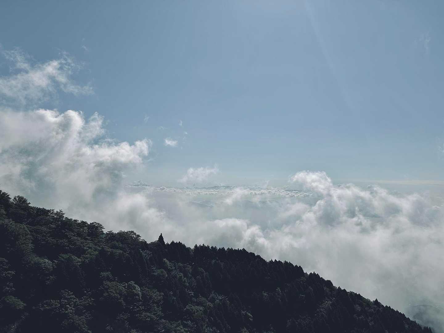 蓬莱山 往復 | 琵琶湖を見下ろす天空の稜線、比良最南端の絶景トレイルへの写真