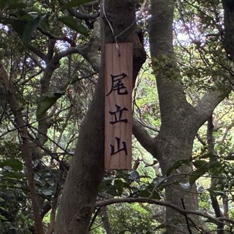 尾立山
