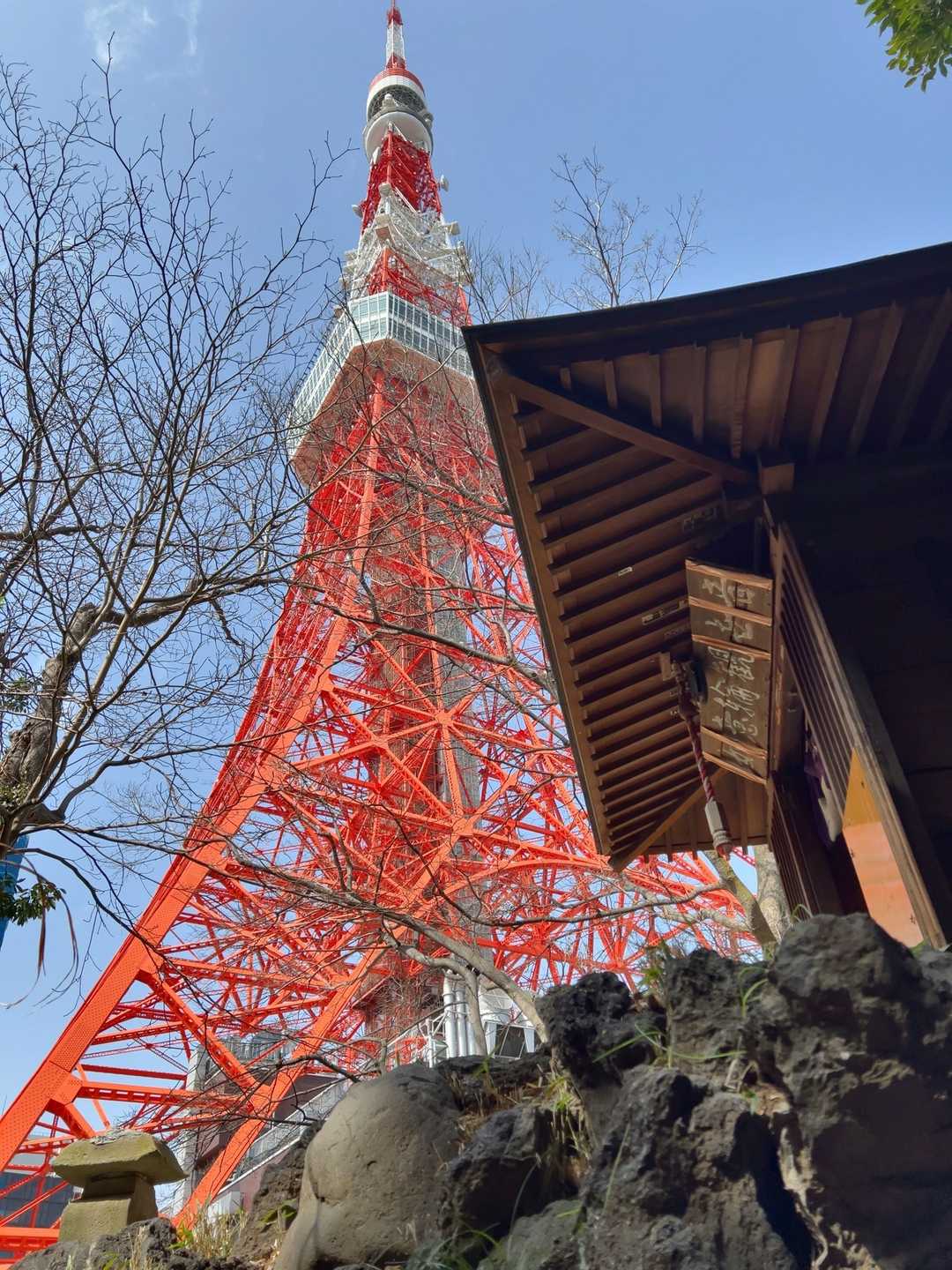 山頂のお社と東京タワー。
タワーのこんな麓に紅葉山があります。
