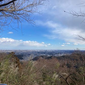 久しぶりの1号路