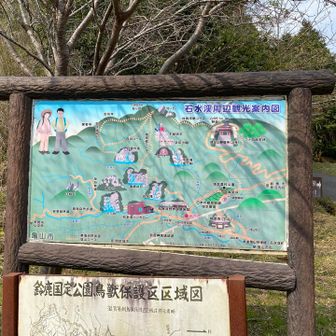 無事下山、久々の登山はお天気も良くていい運動になりました😊