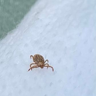 はあ！あ？？！