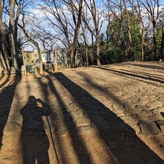 🌿🍂がないので明るくて良し