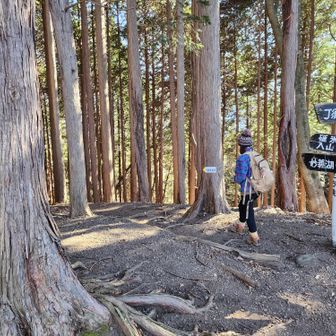 さぁ、これからもみじ谷へ。。。