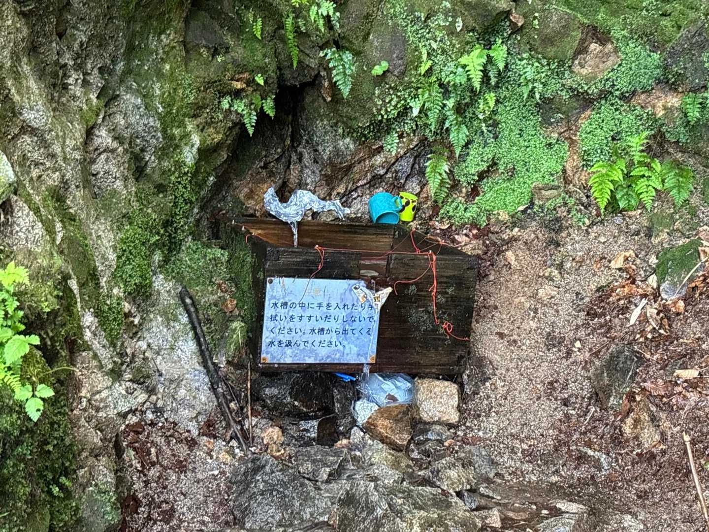 ここの水場は、登山道沿い
しかも、いちばん冷たい