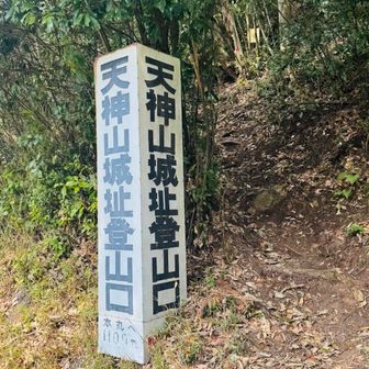 ここが激上り💦