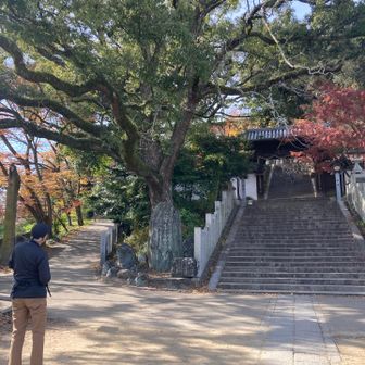 良い感じです🍁