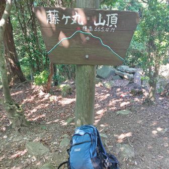 20分で藤ヶ丸山ピーク▲
10回目登頂㊗️
山の洗礼？メマトイ様も沢山祝福に来てくれました🪰🪰
…ココはお返しならぬ、お帰りいただくことに😎