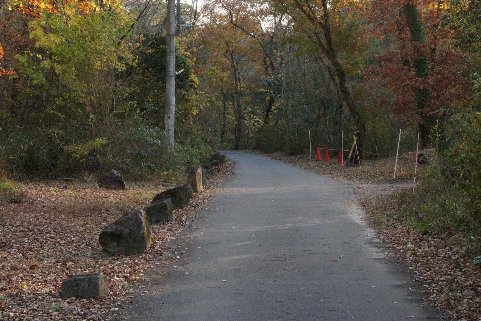 キツツキおった場所も教えてあげたし(笑)

木曽駒ヶ岳行けなくて！残念だったけど
大好きな場所をゆみたんに教えてあげれる事が出来た自己満と、いきなり美味しい🍓イチゴと高級そうなケーキを持ってきてくれたメメりんにも会えたし、ミルクとも戯れることが出来た💕
大満足( 💓∀💓)

ありがとう☆.｡.:*・
あー楽しかった(✨ Д ✨)
おしまーい✌️