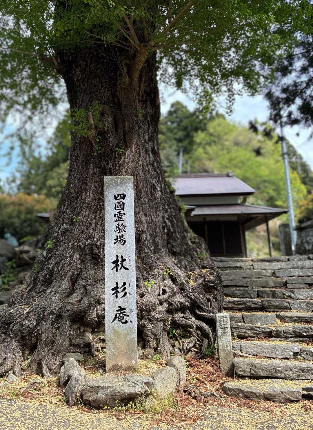 では、行ってきます🚶！