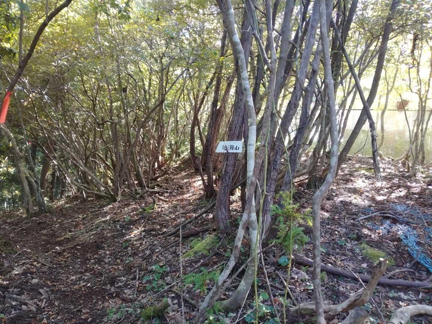 後瀬山 往復コースの写真