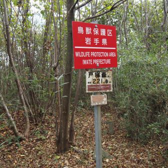 戸塚森🌳