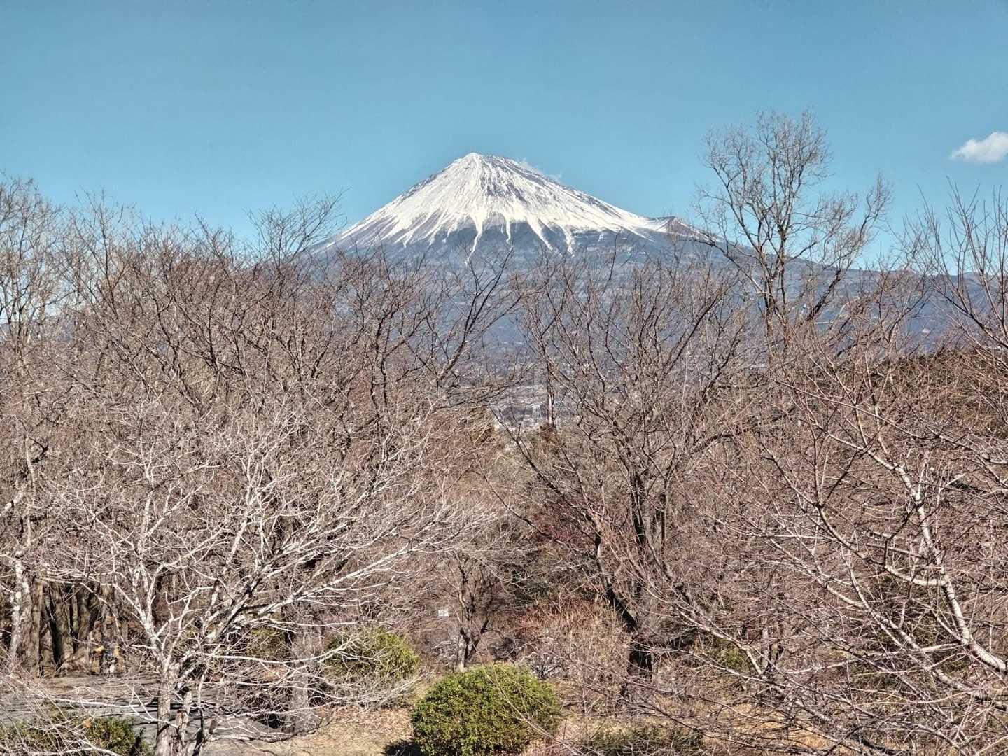 岩本山 往復コースの写真
