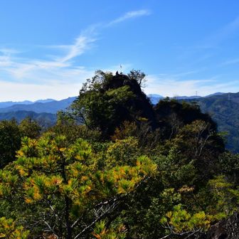山頂の隣のピークから山頂。

帰りに平沢登山口の観光案内所の方と話をすると、平沢登山口側から山頂までは、山頂直下の登り以外は子供でも行けるそうです。
ただ岩櫃山山頂から密岩登山口へ下りる道が、登りに比べるとより難しいとの事です。
なので行かれる方は、最初は私の様に時計回りがお勧めです。