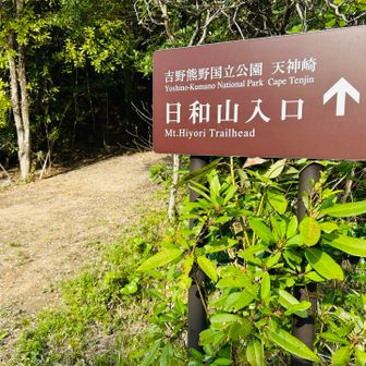 ここで女性が下りてこられた。