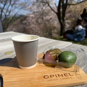 萬松堂の よもぎ餅 さくら餅