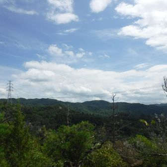 展望地から元岩巣と猿投山方面