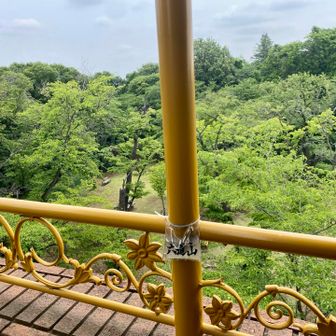 ラストピークの六道山‼️
展望台を上がっていった途中に看板がある🤣
