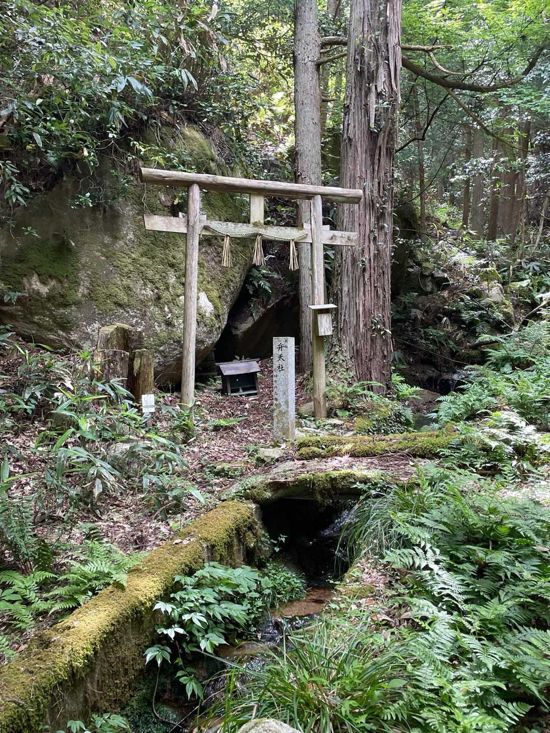三角山 周回コースの写真