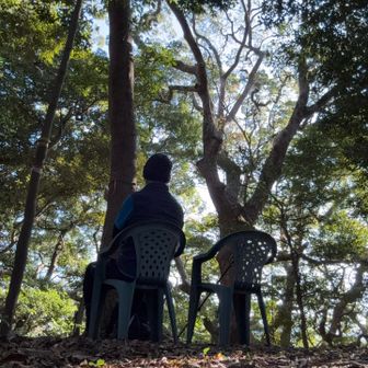 左で佇んでみた🪑