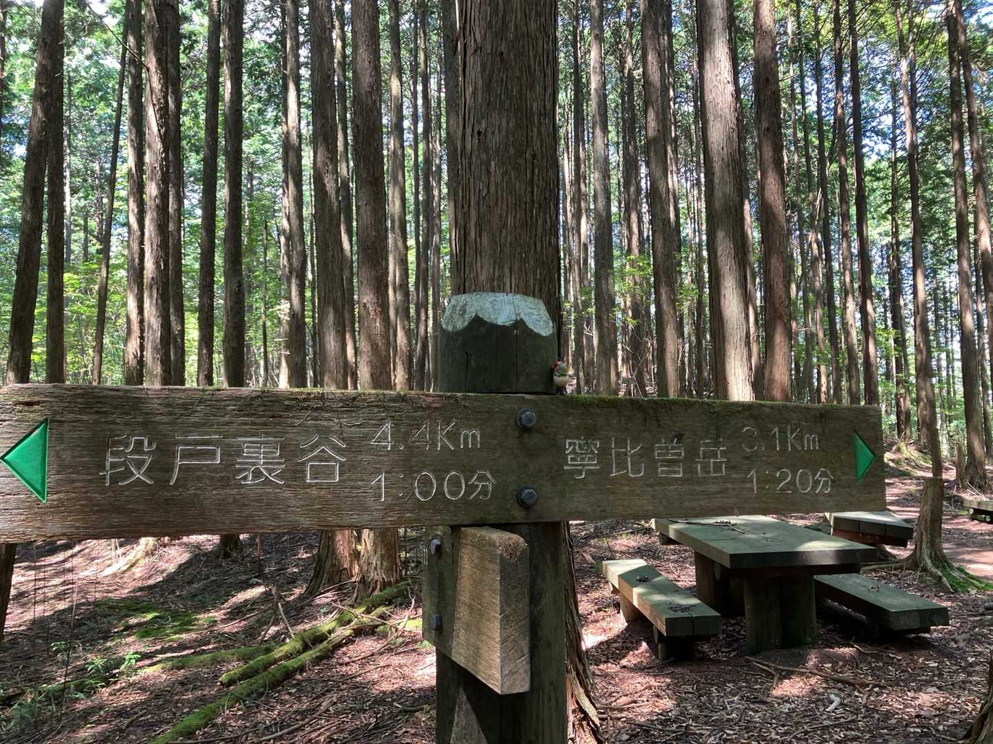 寧比曽岳3.1km頑張ろ❗️
半分越えた！