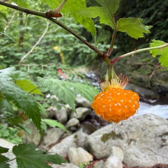 🧡の宝石✨