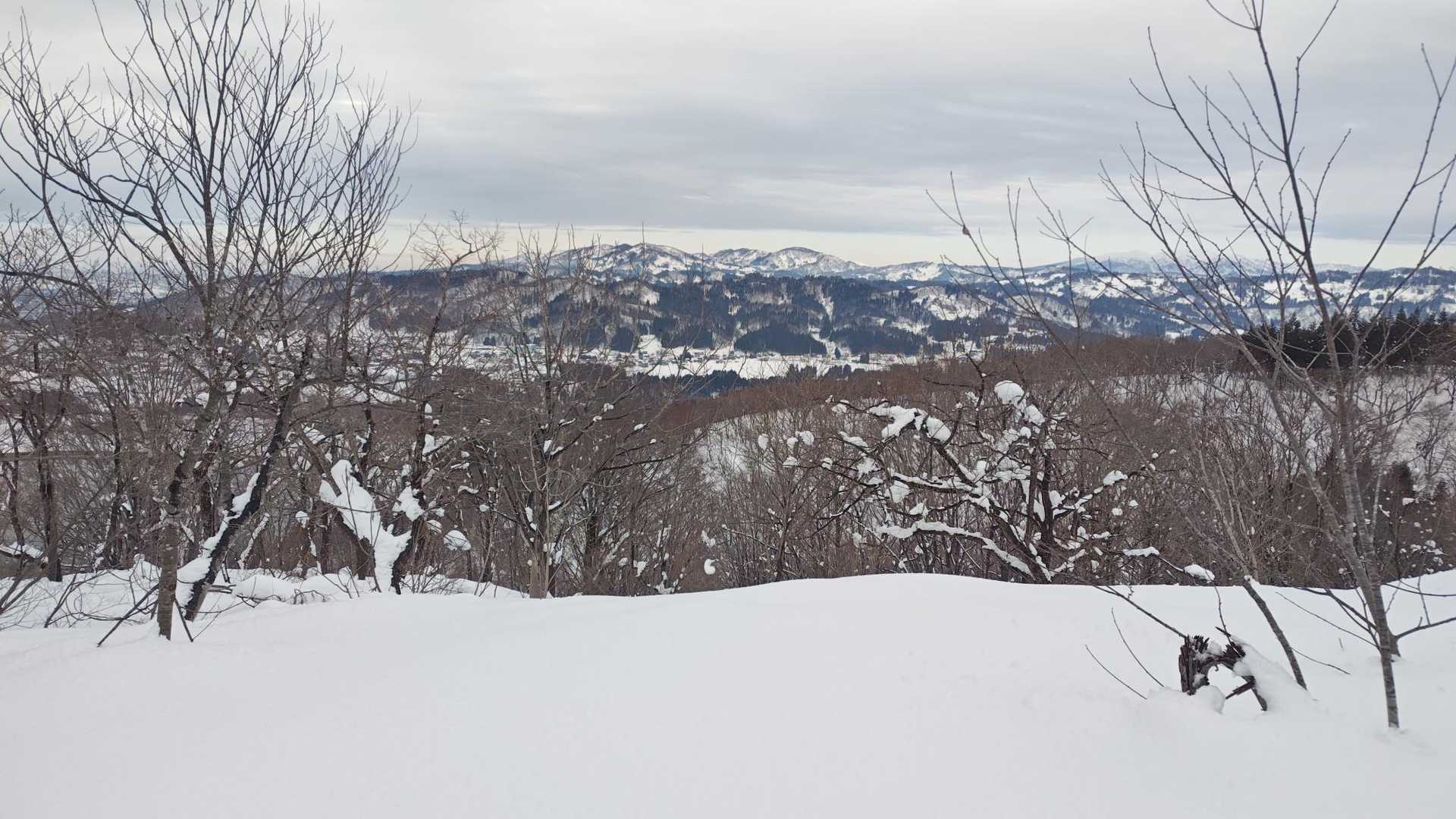 おぢゃ〜る-山本山 往復コースの写真