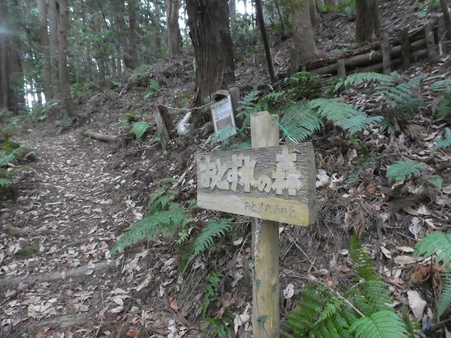 三重山へ