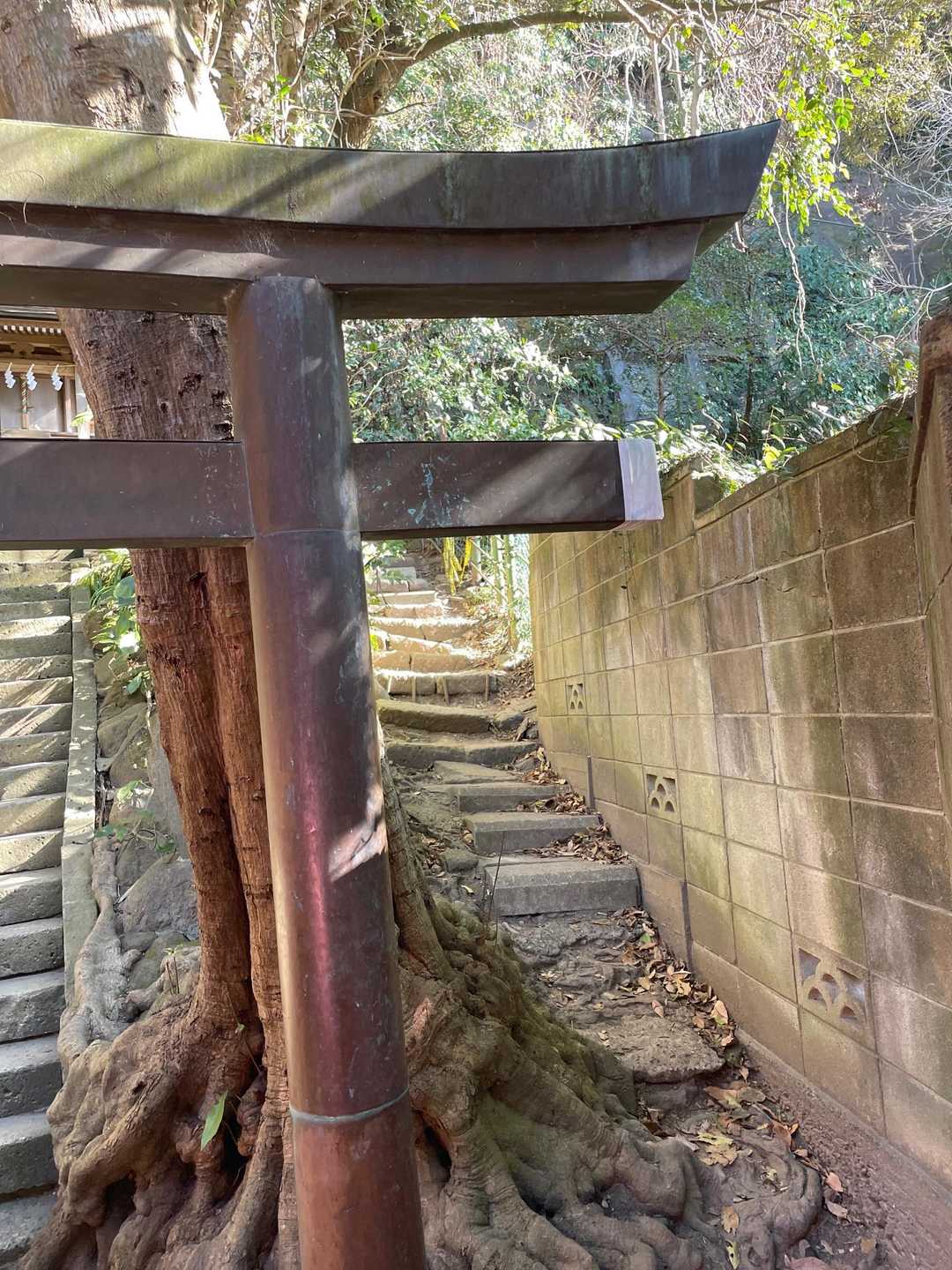 ここ、下山する際、背の高い人は⛩️に頭を強打しないように。🚧テープはさすがに貼れないですね💦