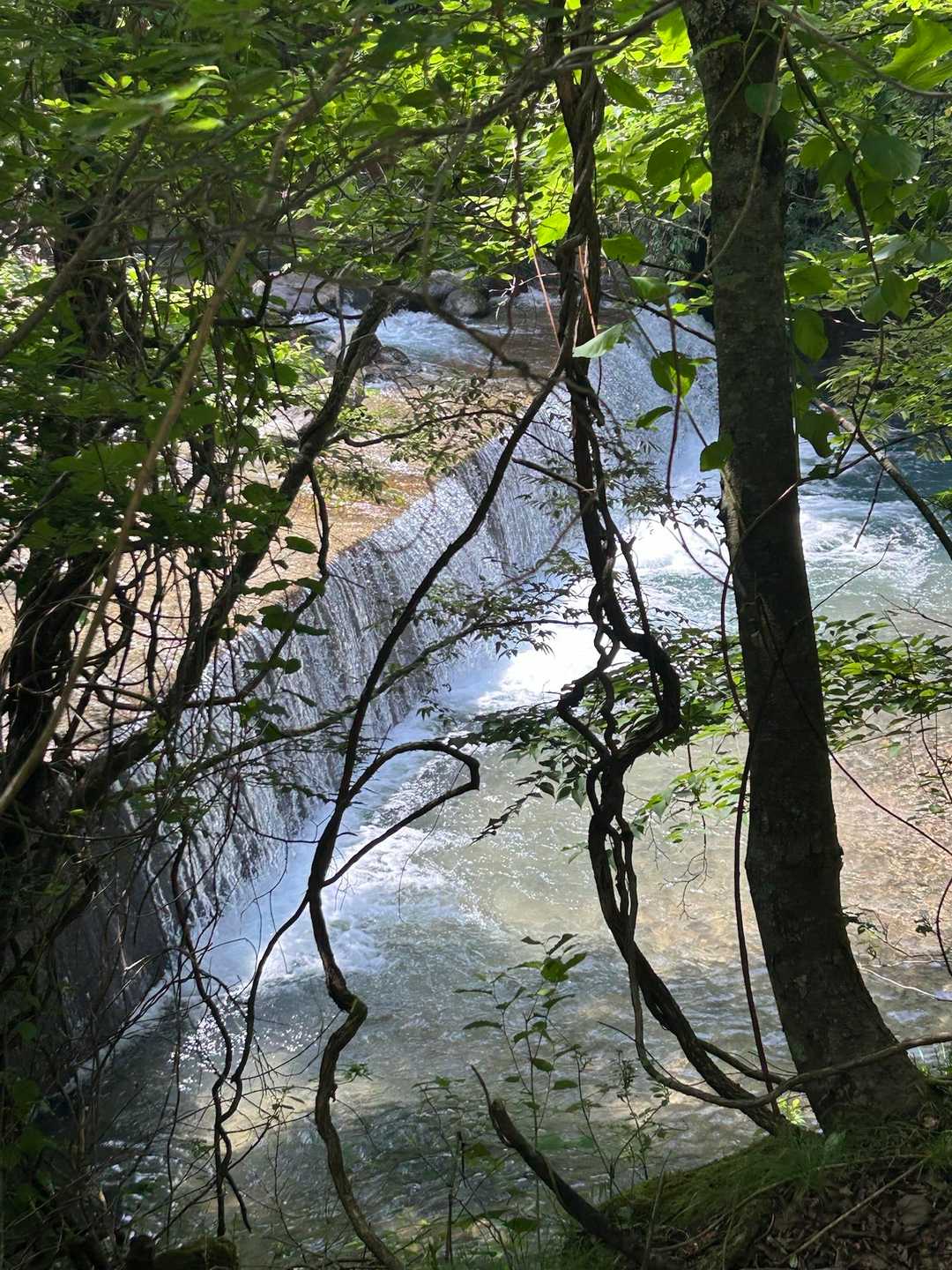 景色がいいね😊
