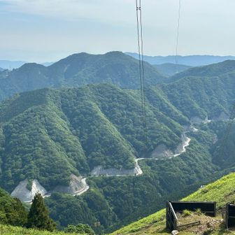 藤原岳へ向かう道
