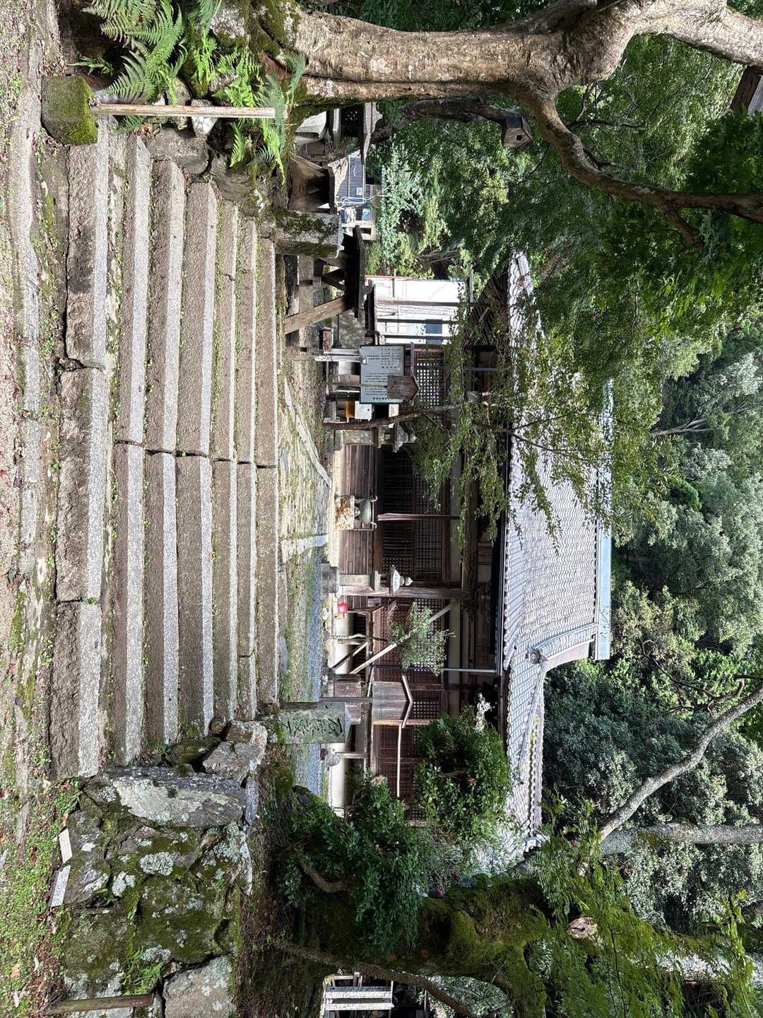 音羽山 往復コースの写真